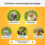 FurMagic – La brosse miracle pour un pelage propre, doux et sans nœuds