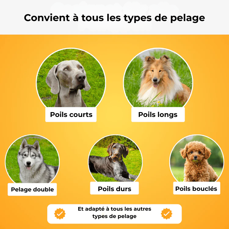 FurMagic – La brosse miracle pour un pelage propre, doux et sans nœuds