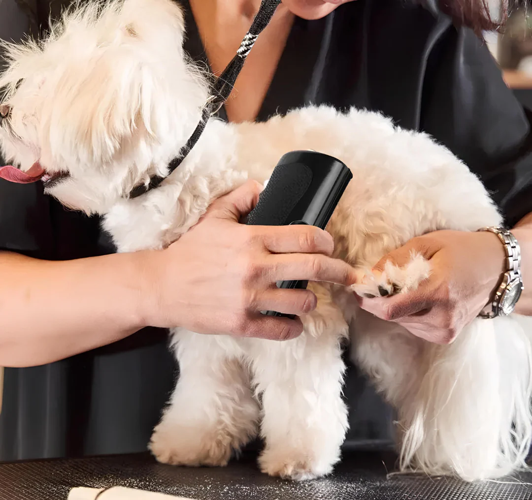 FurMagic – La brosse miracle pour un pelage propre, doux et sans nœuds